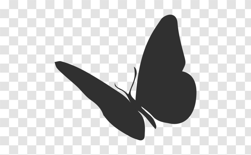Butterfly Silhouette Vector Graphics Transparency Clip Art - Plant Transparent PNG