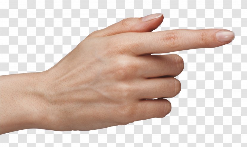 Hand Finger Clip Art - Index - Hands Transparent PNG