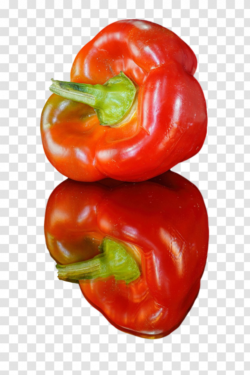 Tomato Transparent PNG