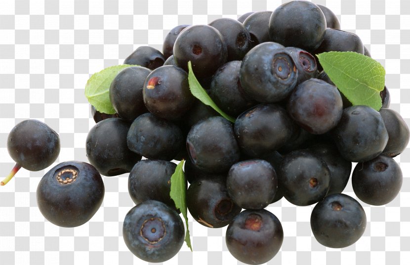 Blueberry Grape Frutti Di Bosco Bilberry - Blueberries Transparent PNG