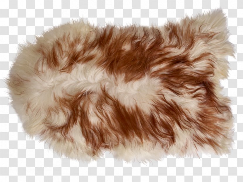 Fur Clothing Animal Product Shoe Brown - Rug Transparent PNG