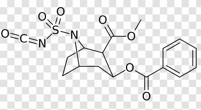 Cocaine Dependence Stimulant Erythroxylum Coca Cocaethylene - Chemistry - Area Transparent PNG