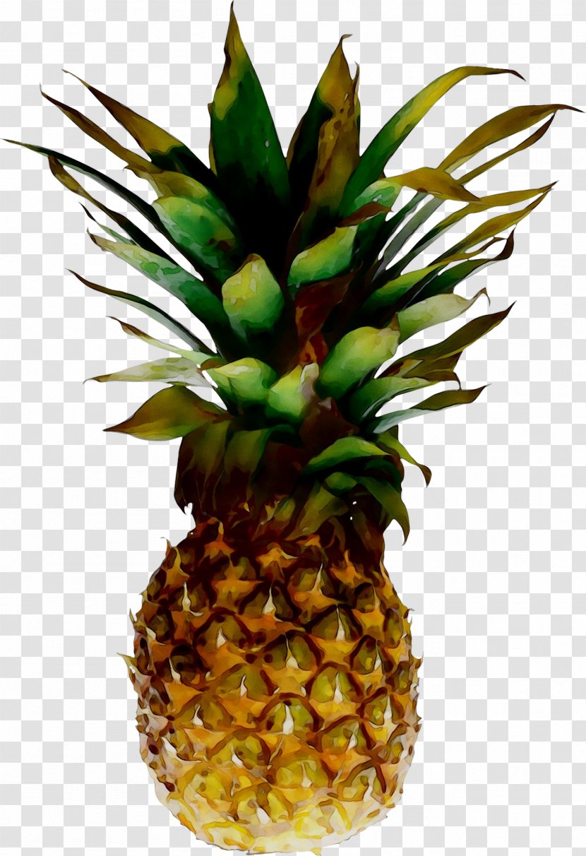 Pineapple - Natural Foods - Fruit Transparent PNG