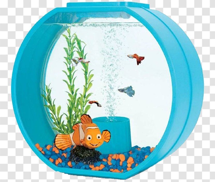 Ariel Triol Aquarium Yunizoo The Walt Disney Company - Organism - Fish Tank Transparent PNG