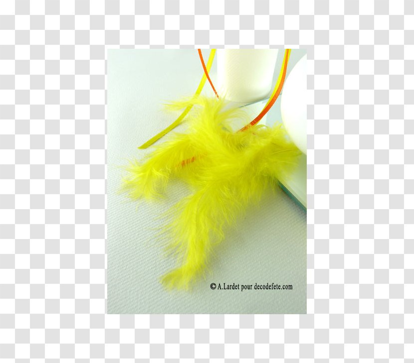 Feather Yellow Sachet Transparent PNG