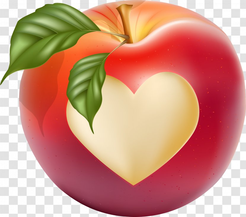 Heart Drawing - Food - Hand Drawn Vector Love Apple Transparent PNG
