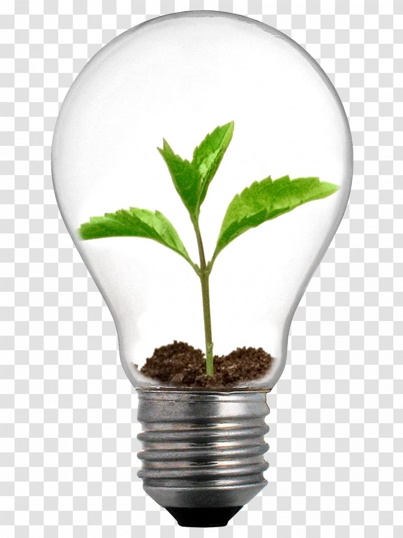 Incandescent Light Bulb Grow Lighting LED Lamp - Tree - Energy-saving Transparent PNG