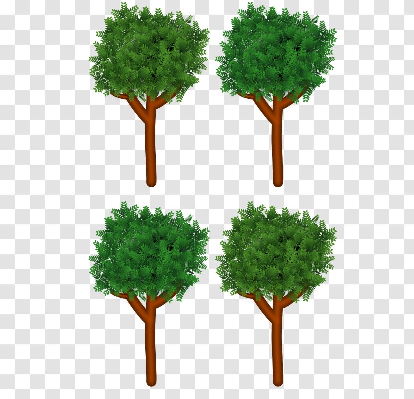 Branch Tree Forest Clip Art Transparent PNG