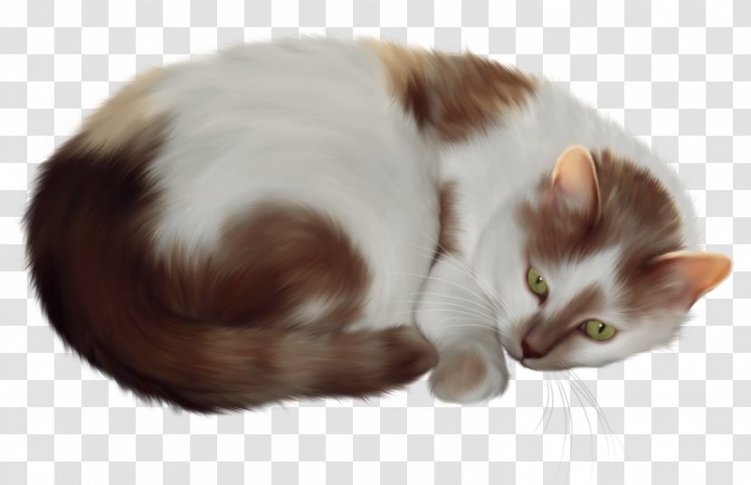 Persian Cat Siamese Kitten Clip Art - Fur - Cats Transparent PNG