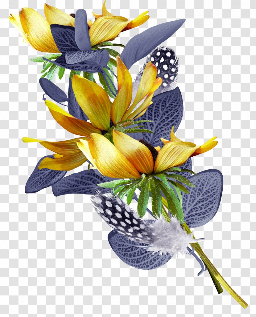 Flower Petal Plant Yellow Cut Flowers - Iris - Pedicel Lily Family Transparent PNG