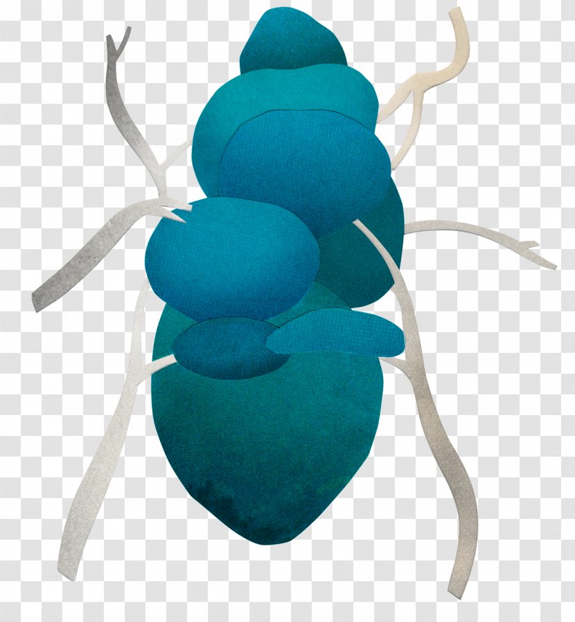 Turquoise Organism Transparent PNG