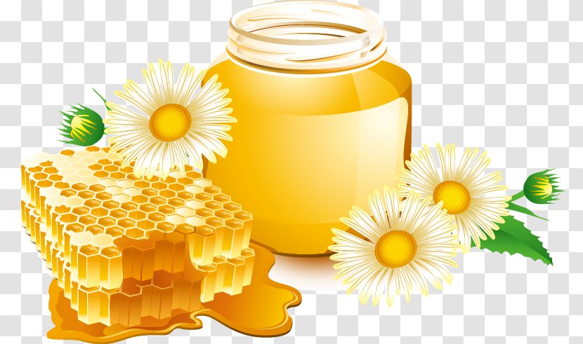 Honey Bee Honeycomb - Creative Transparent PNG