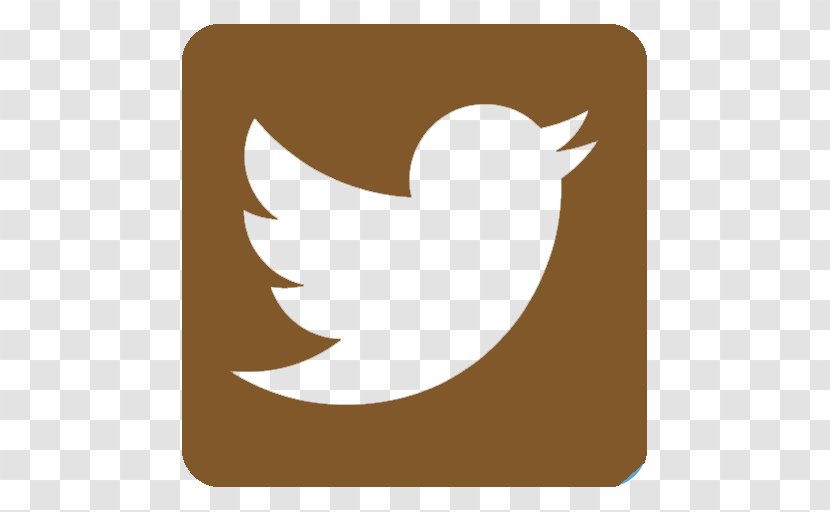Social Media Logo NoDoz Business - Bird Transparent PNG