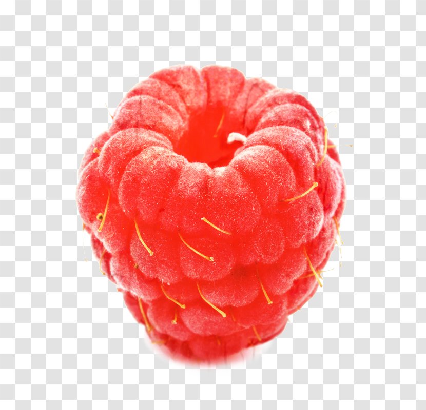 Fruit Cartoon - Food - Pastry Plant Transparent PNG