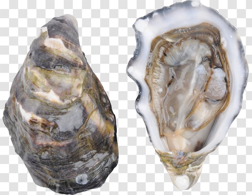 Pacific Oyster Clam Bar Food Transparent PNG