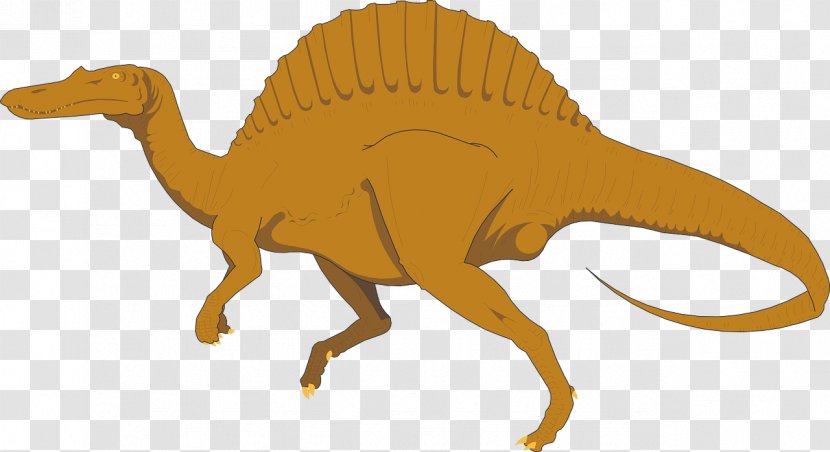 Spinosaurus Apatosaurus Dinosaur Stegosaurus Image - Terrestrial Animal Transparent PNG