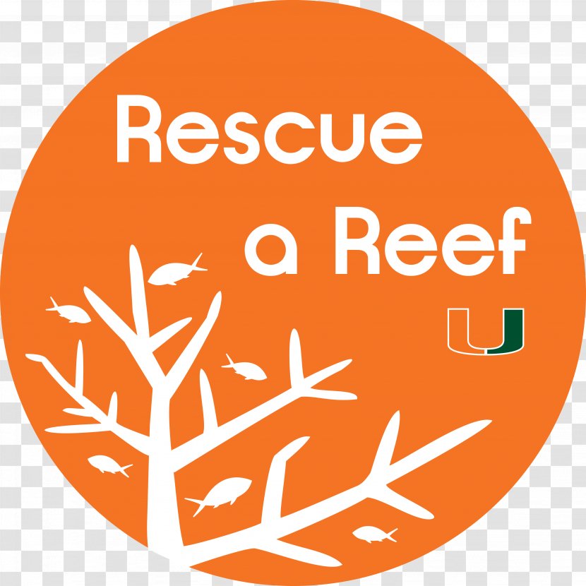 Coral Reef Fish Rescue A - Ok Tedi River Transparent PNG