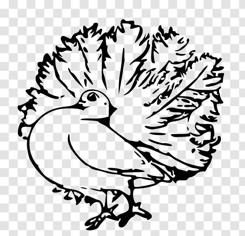 Homing Pigeon English Carrier Columbidae Bird - Watercolor - Public Domain Line Art Transparent PNG