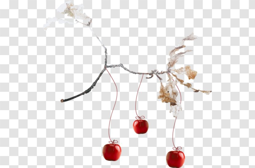 Cherry Apple Clip Art - Computer Software - Hanging On The Branches Of Transparent PNG