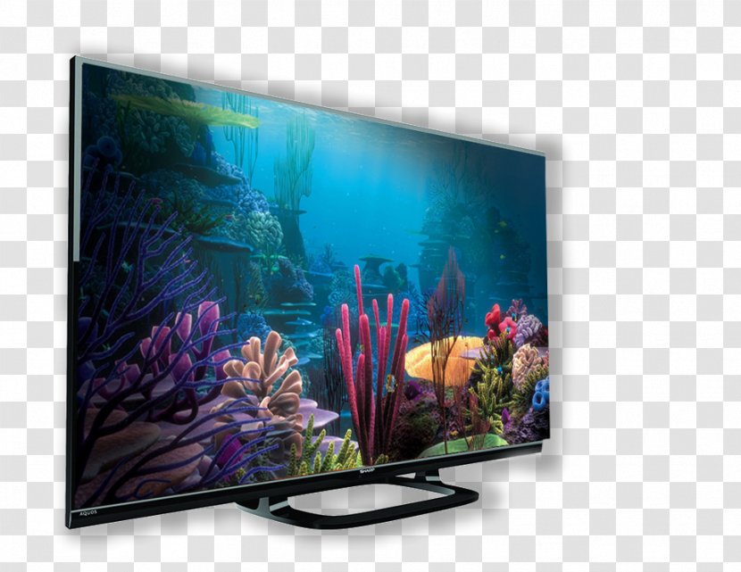 Nemo YouTube High-definition Television - Media - Youtube Transparent PNG