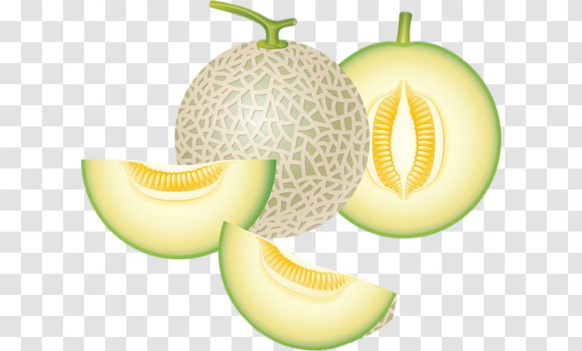 Honeydew Cantaloupe Melon Clip Art - Food Transparent PNG