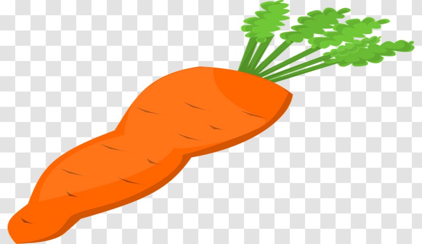 Carrot Download Vegetable Clip Art - Organism - Cheese Ball Transparent PNG