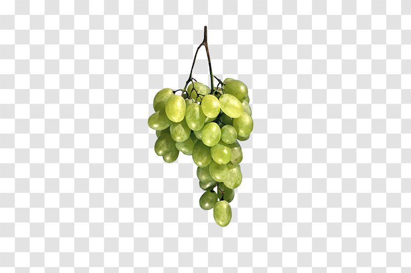 Common Grape Vine Fruit - Photography - Bunch Of Fresh Grapes Transparent PNG