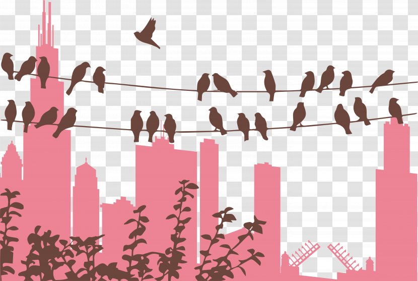 Bird Download - Electrical Cable - City Vector Transparent PNG