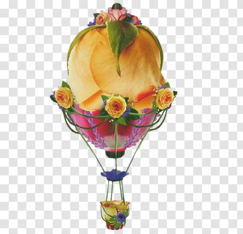 Hot Air Balloon Cut Flowers - Fruit Transparent PNG