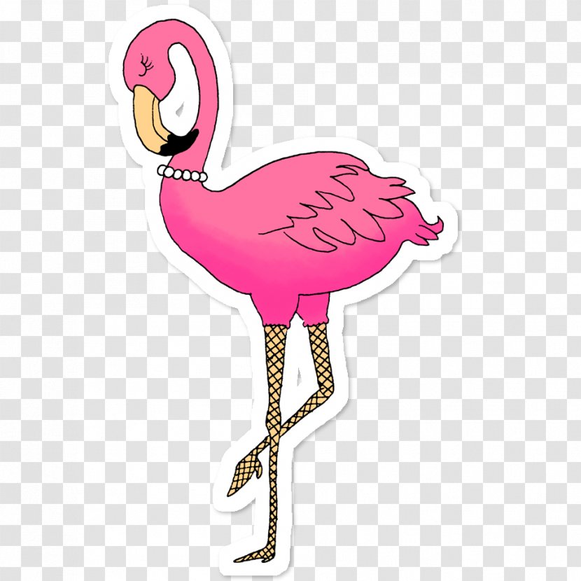 Greater Flamingo Pink Bird Adhesive Sticker - Beak - Flamingos Transparent PNG