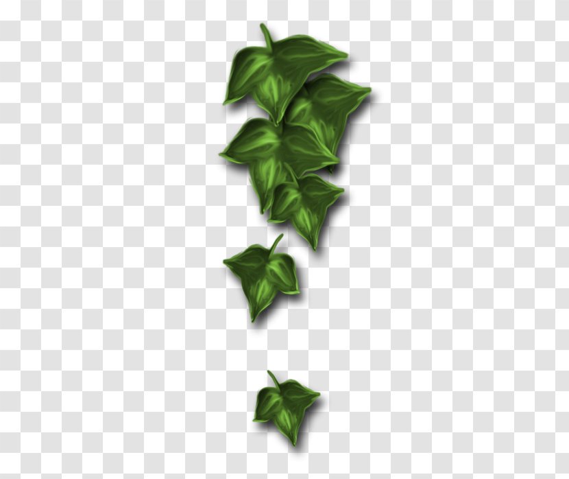 Centerblog Leaf Internet Forum Foruma Moderators Transparent PNG