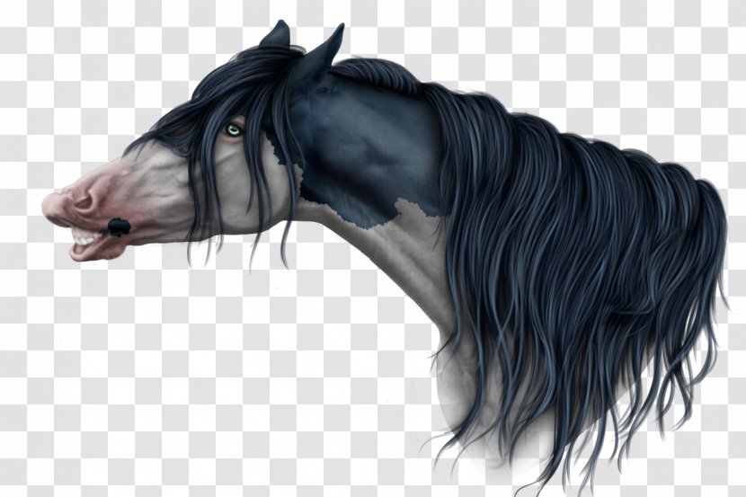 Pony Mane Halter Stallion Thumbnail - Bridle - Neck Transparent PNG