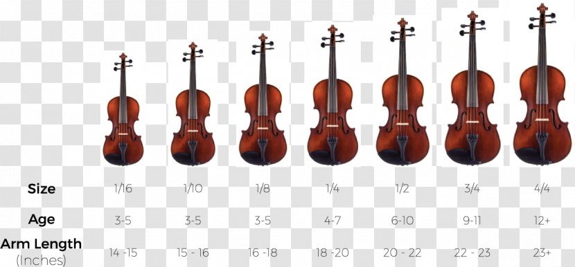 Bow Violin Cello String Instruments Viola - Watercolor - Size Chart Design Elements Transparent PNG