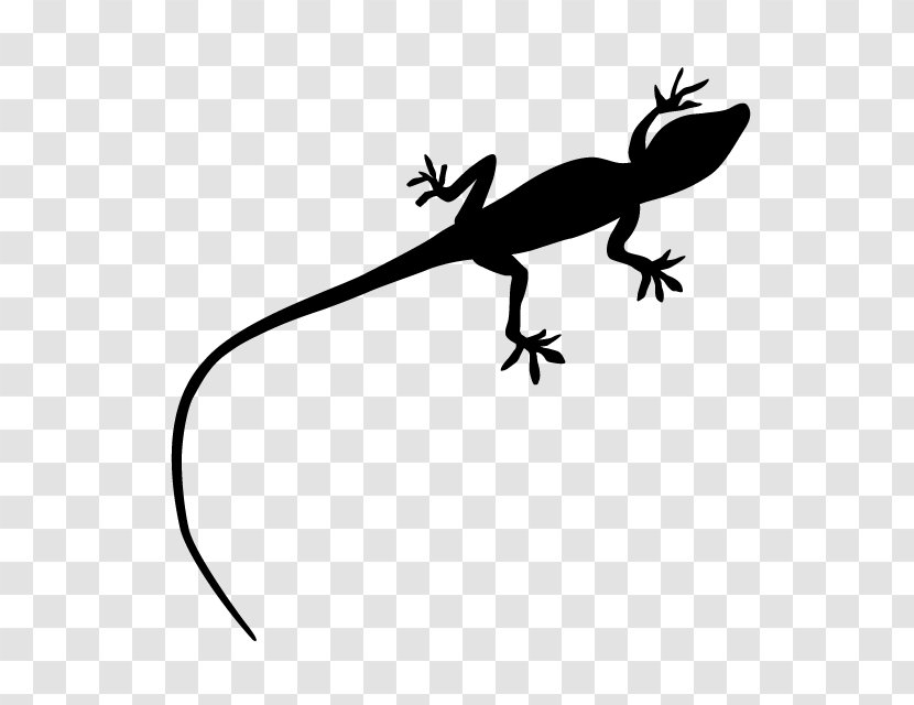 Gecko Clip Art Line Fauna - Lizard - Wall Transparent PNG