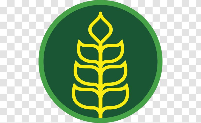 Green Organic Food Logo Tree Clip Art - Grain Transparent PNG