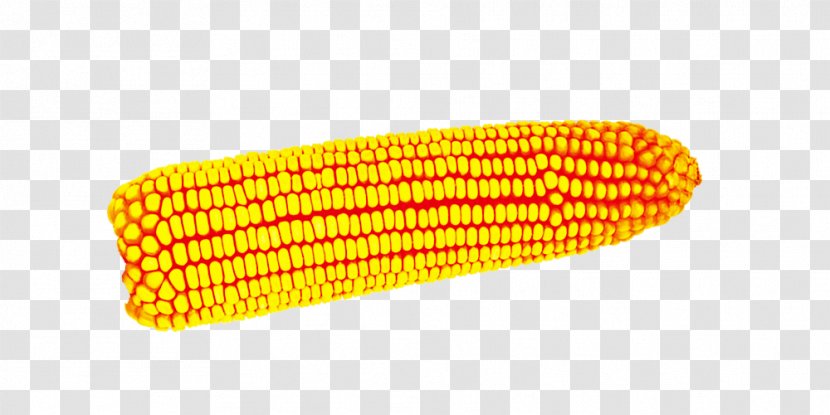 Corn On The Cob Maize - Yellow Transparent PNG