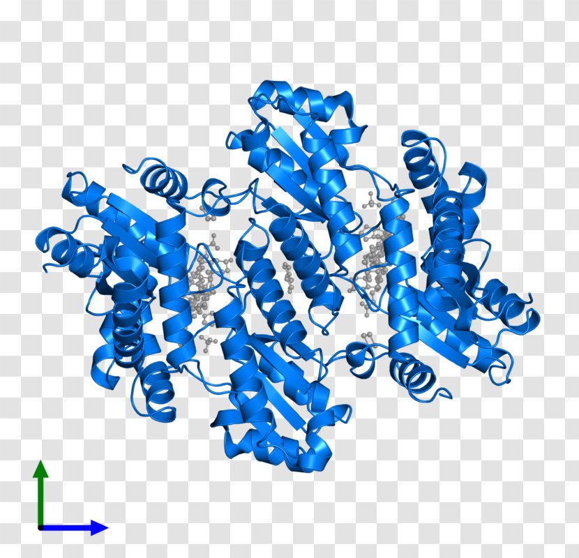 Ferrochelatase Heme B Protoporphyrin IX - Ix - Mito Class Transparent PNG