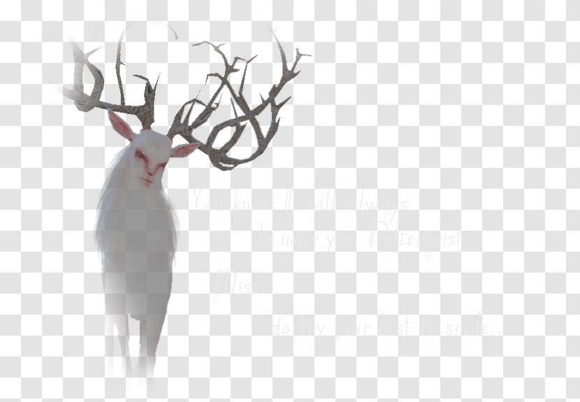 Reindeer Antler Wildlife Font - Mammal Transparent PNG