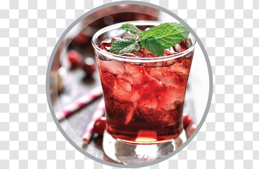 Cocktail Fizzy Drinks Beer Distilled Beverage Mojito - Party - Cranberry Juice Transparent PNG