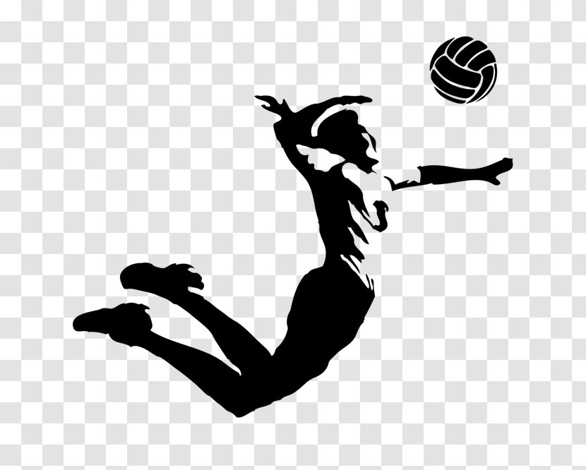 Volleyball VC Zenit-Kazan Sport Belogorie Transparent PNG