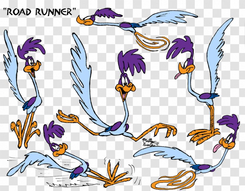 Wile E. Coyote Road Runner's Death Valley Rally Daffy Duck - Flowering Plant - Beak Transparent PNG