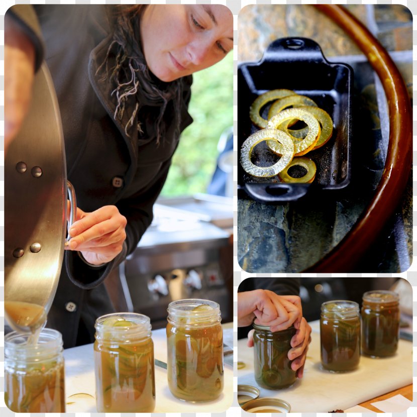Sitka Hope Bullwhip Kelp Seaweed Algae - Alaska - Brined Pickles Transparent PNG