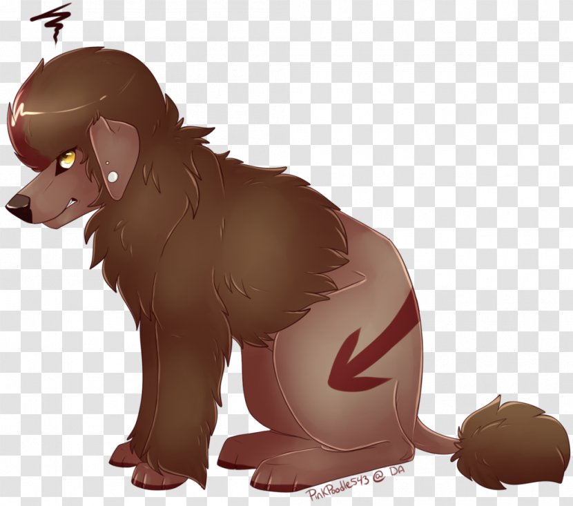 Poodle Bear Drawing Little Finger Character - Canidae - Annoyed Transparent PNG