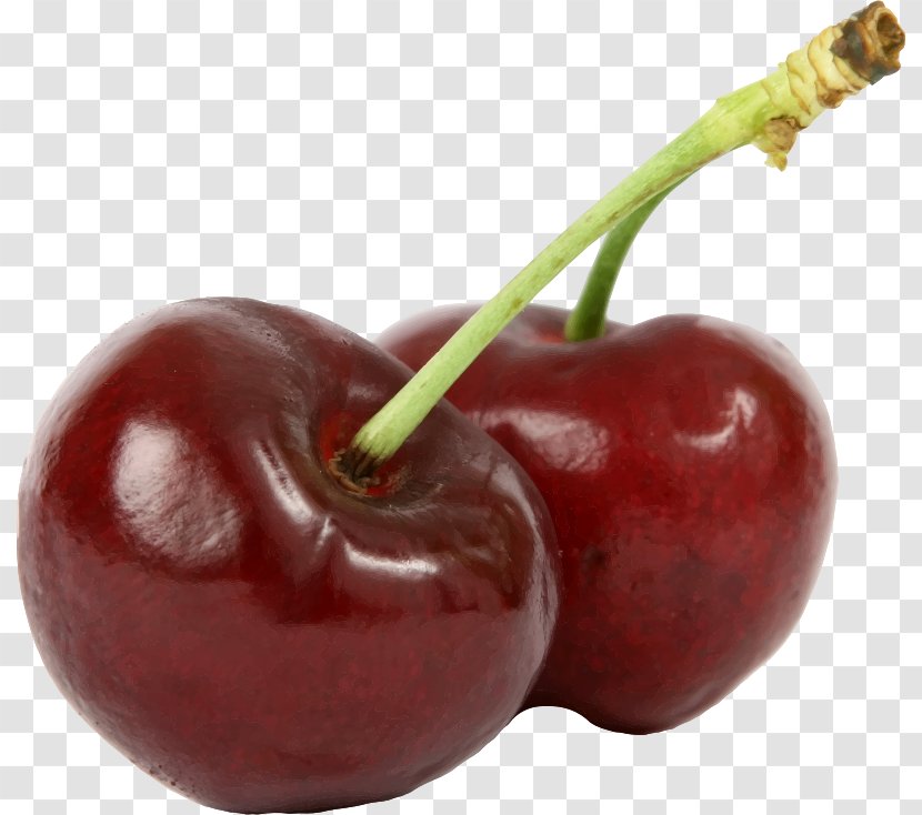 Burlat Cherry Fruit Cerasus Food - Cherries Transparent PNG