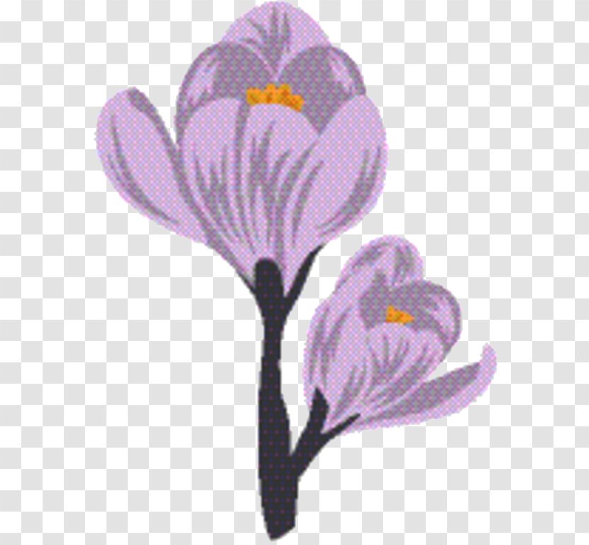 Saffron Flower - Violet Family Iris Transparent PNG