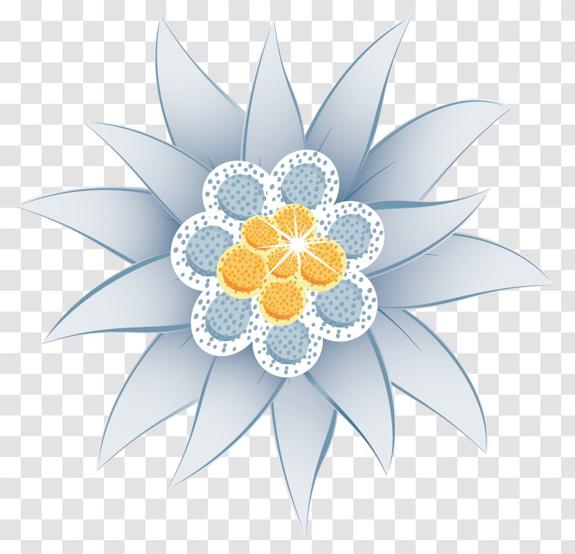 Edelweiss Flower Euclidean Vector Illustration - Drawing - Hand-painted Flowers Diamond Transparent PNG