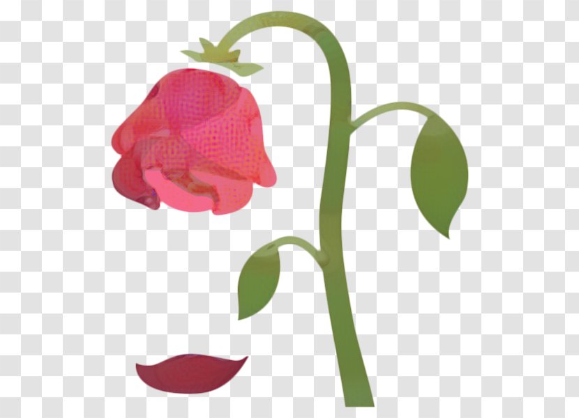 Sweet Pea Flower - Pedicel - Peas Magenta Transparent PNG