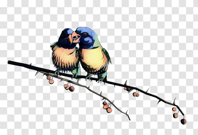Clip Art Lovebird Parrot - Bluebird - Budgerigar Transparent PNG
