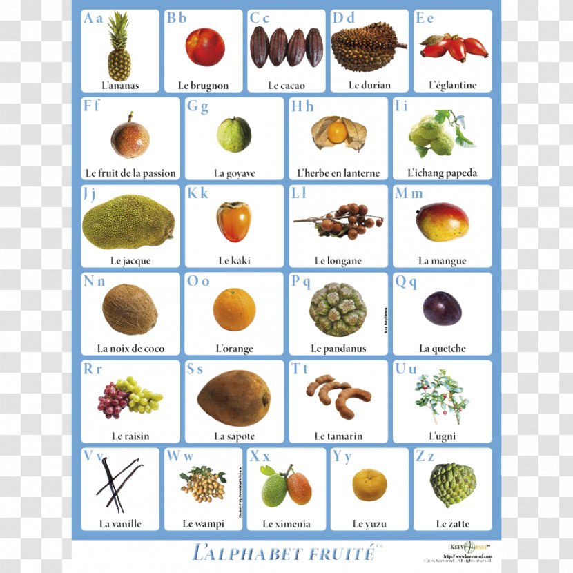 Fruit English Alphabet Letter Case - Flower Transparent PNG
