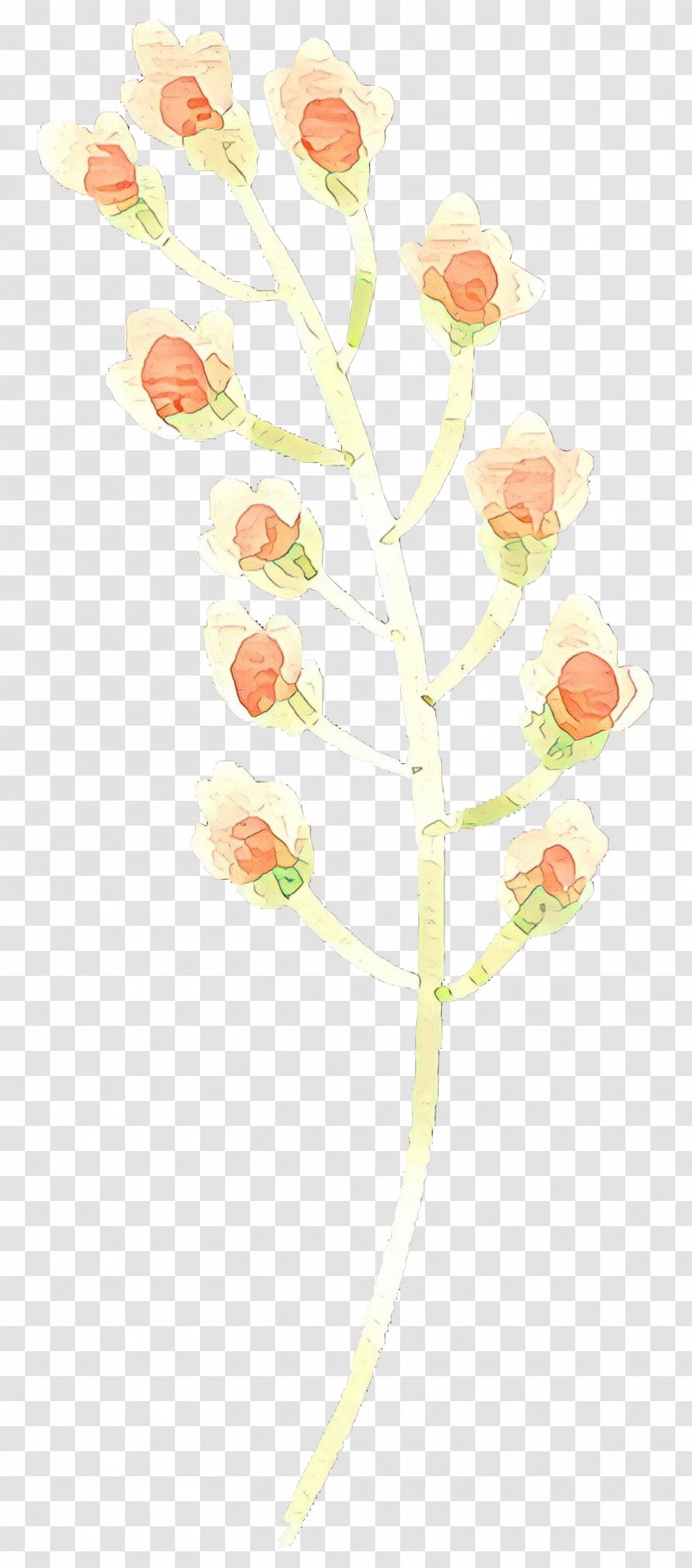 Floral Flower Background - Peach - Wildflower Transparent PNG